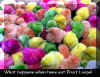 rainbowchicks.jpg (46557 bytes)